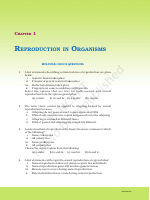 Biology exampler 12.pdf